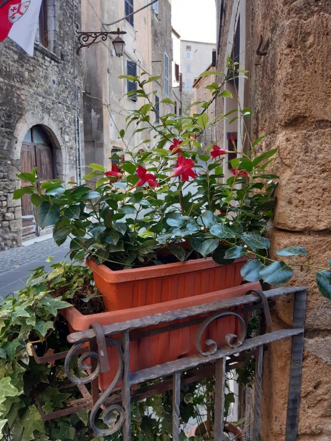 Historical Domus Appartement Anagni Buitenkant foto